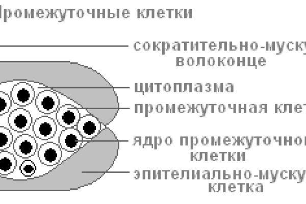 Маркетплейс кракен kraken